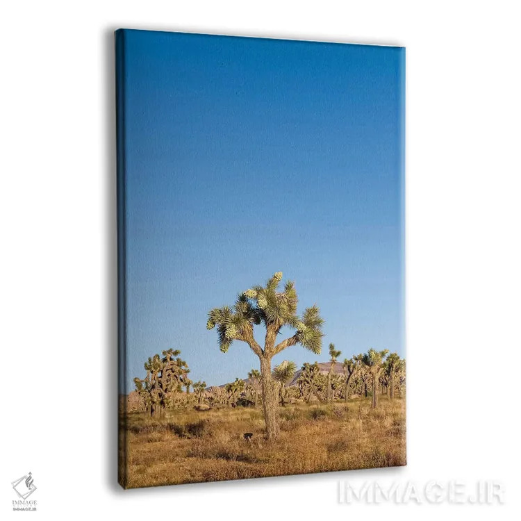 تابلو دکوراتیو درختان جاشوا اثر ملانی ویولا - نمای پرسپکتیو محصول