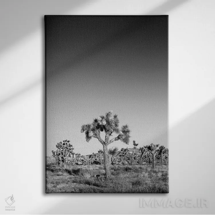 تابلو دکوراتیو درختان جاشوا اثر ملانی ویولا - نمای روبهرو روی دیوار