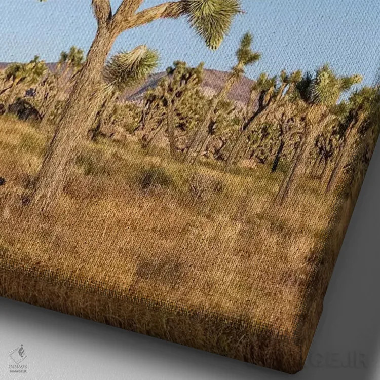 تابلو دکوراتیو درختان جاشوا اثر ملانی ویولا - نمای نزدیک بافت بوم