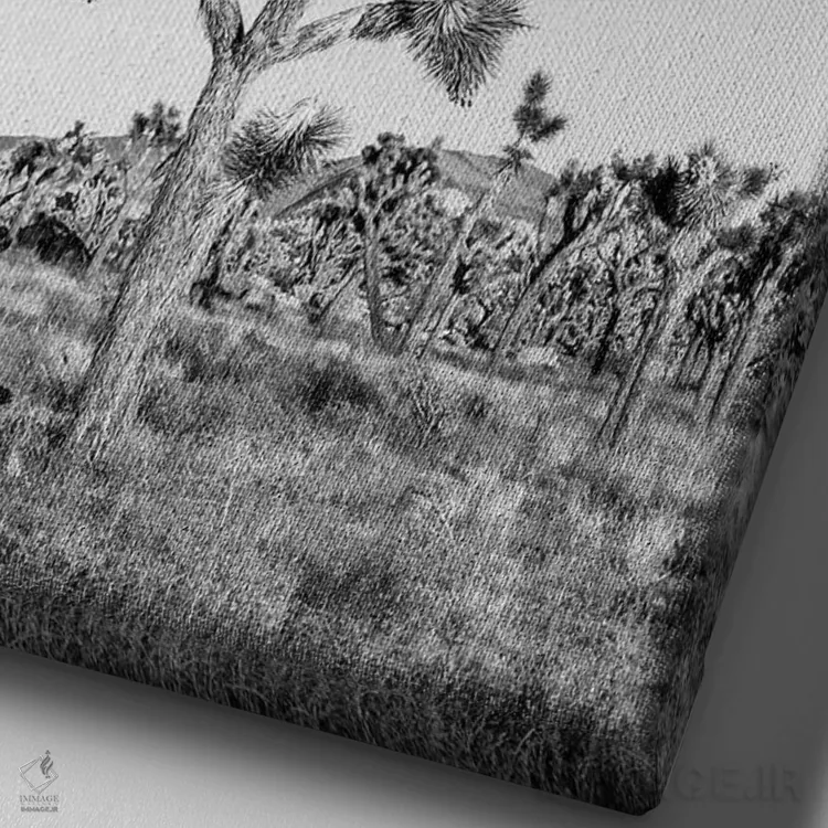 تابلو دکوراتیو درختان جاشوا اثر ملانی ویولا - نمای نزدیک بافت بوم