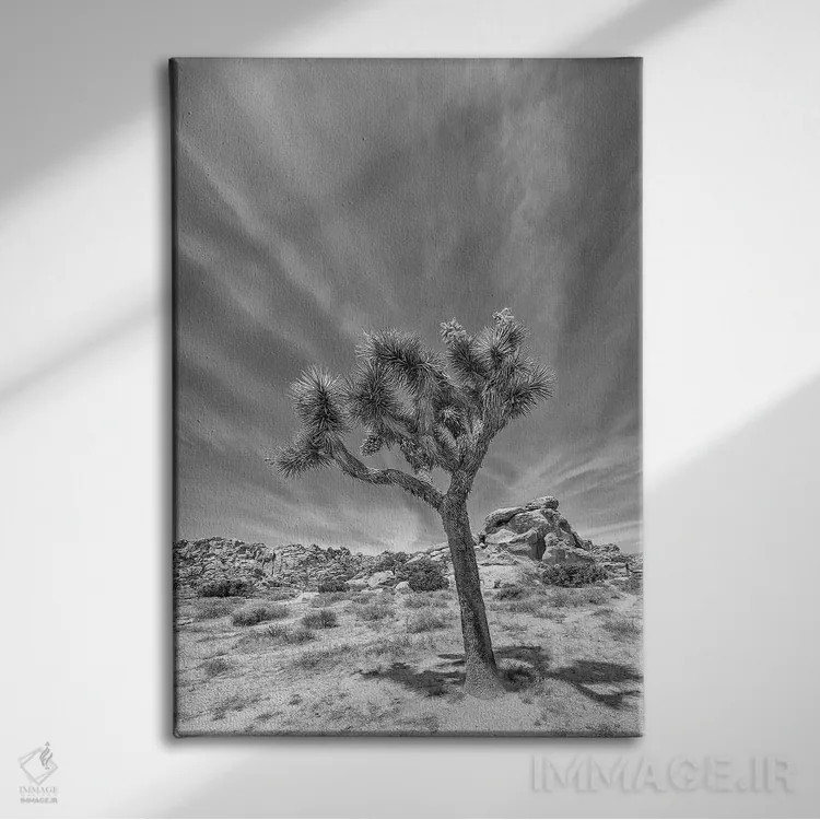 تابلو دکوراتیو درخت جاشوای تنها اثر ملانی ویولا - نمای روبهرو روی دیوار