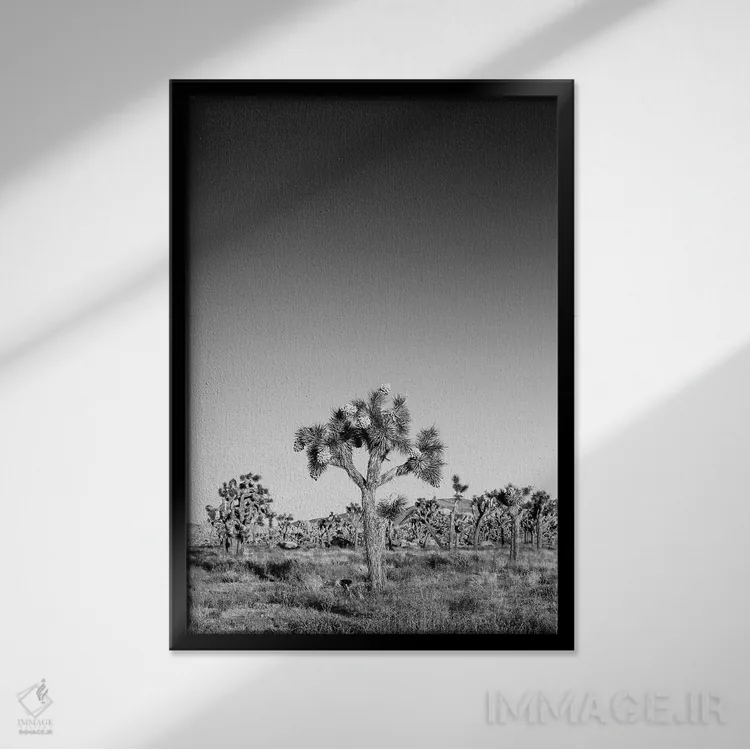 تابلو دکوراتیو درختان جاشوا اثر ملانی ویولا - نمای قابدار مشکی