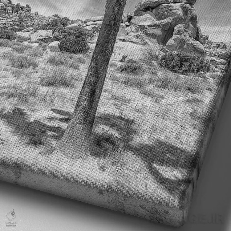 تابلو دکوراتیو درخت جاشوای تنها اثر ملانی ویولا - نمای نزدیک بافت بوم