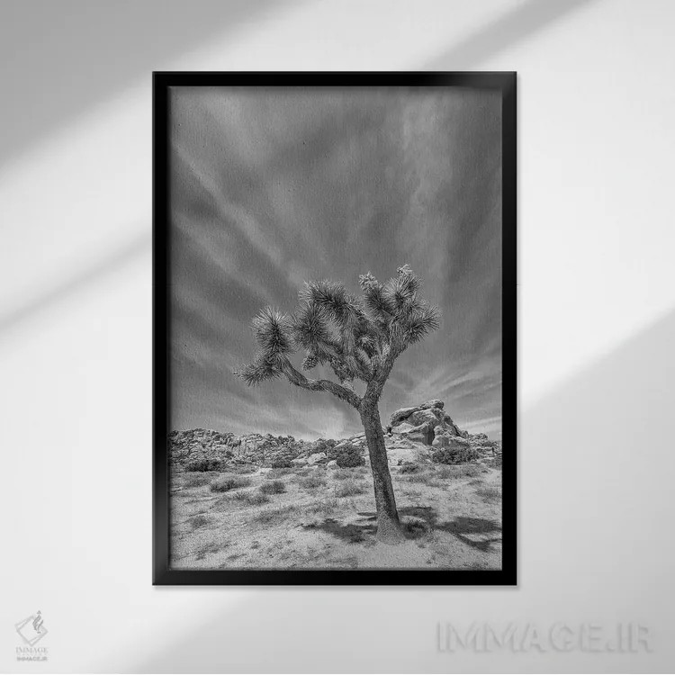 تابلو دکوراتیو درخت جاشوای تنها اثر ملانی ویولا - نمای قابدار مشکی