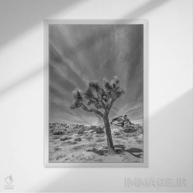 تابلو دکوراتیو درخت جاشوای تنها اثر ملانی ویولا - نمای قابدار سفید