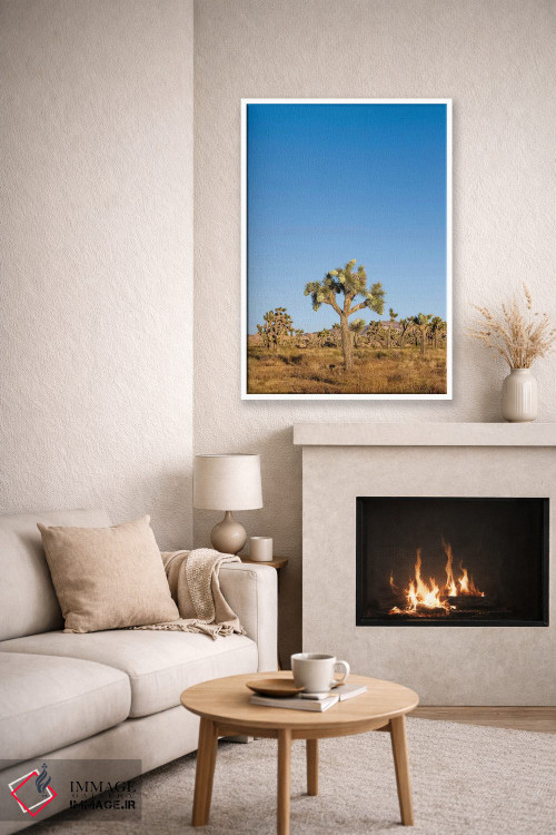 تابلو دکوراتیو درختان جاشوا اثر ملانی ویولا - D5W