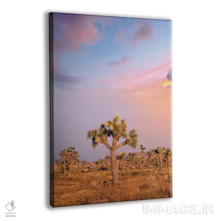 تابلو دکوراتیو غروب دل انگیز در پارک ملی جاشوا تری اثر ملانی ویولا - نمای پرسپکتیو محصول