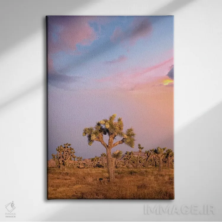 تابلو دکوراتیو غروب دل انگیز در پارک ملی جاشوا تری اثر ملانی ویولا - نمای روبهرو روی دیوار