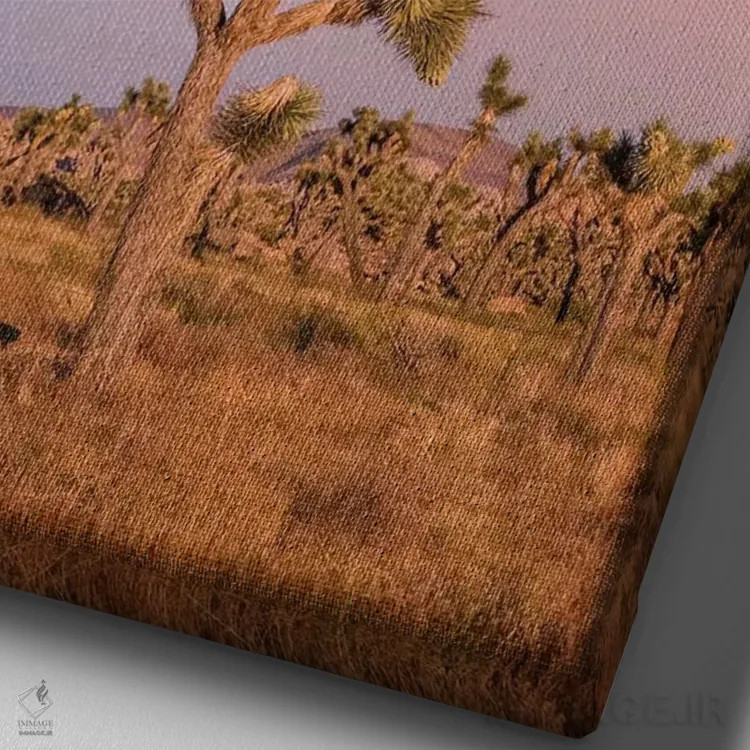 تابلو دکوراتیو غروب دل انگیز در پارک ملی جاشوا تری اثر ملانی ویولا - نمای نزدیک بافت بوم