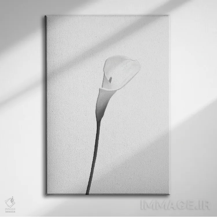 تابلو دکوراتیو کالا | طراحی روشن اثر ملانی ویولا - نمای روبهرو روی دیوار