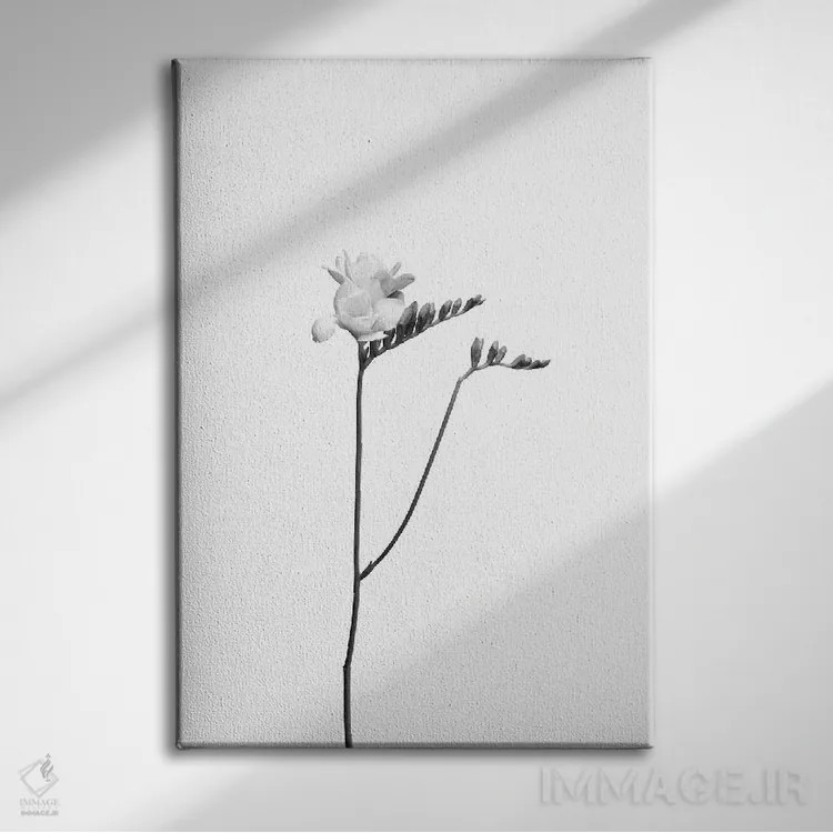 تابلو دکوراتیو فریزیا | طراحی روشن اثر ملانی ویولا - نمای روبهرو روی دیوار