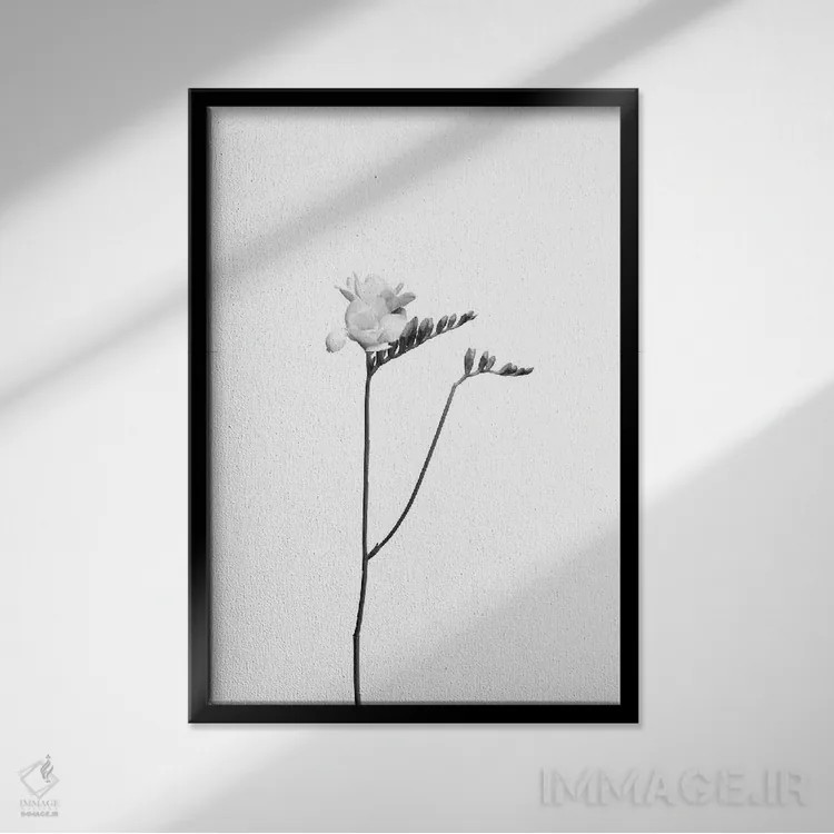 تابلو دکوراتیو فریزیا | طراحی روشن اثر ملانی ویولا - نمای قابدار مشکی