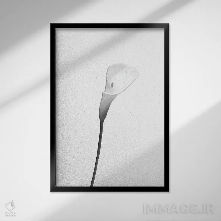تابلو دکوراتیو کالا | طراحی روشن اثر ملانی ویولا - نمای قابدار مشکی