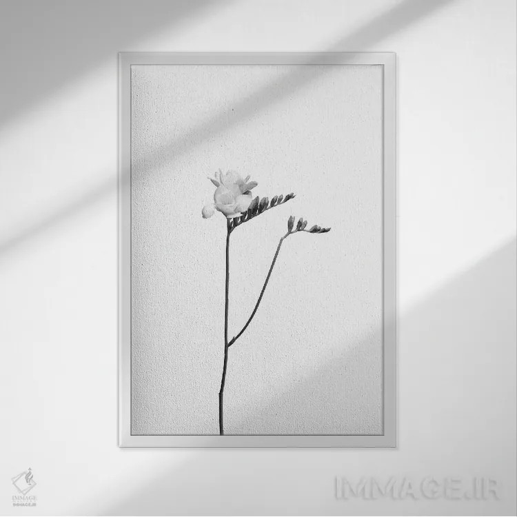 تابلو دکوراتیو فریزیا | طراحی روشن اثر ملانی ویولا - نمای قابدار سفید