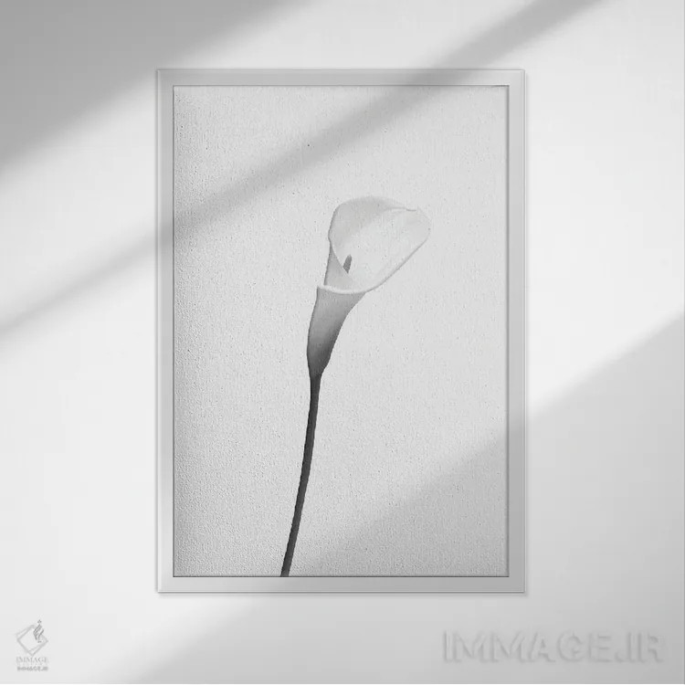 تابلو دکوراتیو کالا | طراحی روشن اثر ملانی ویولا - نمای قابدار سفید