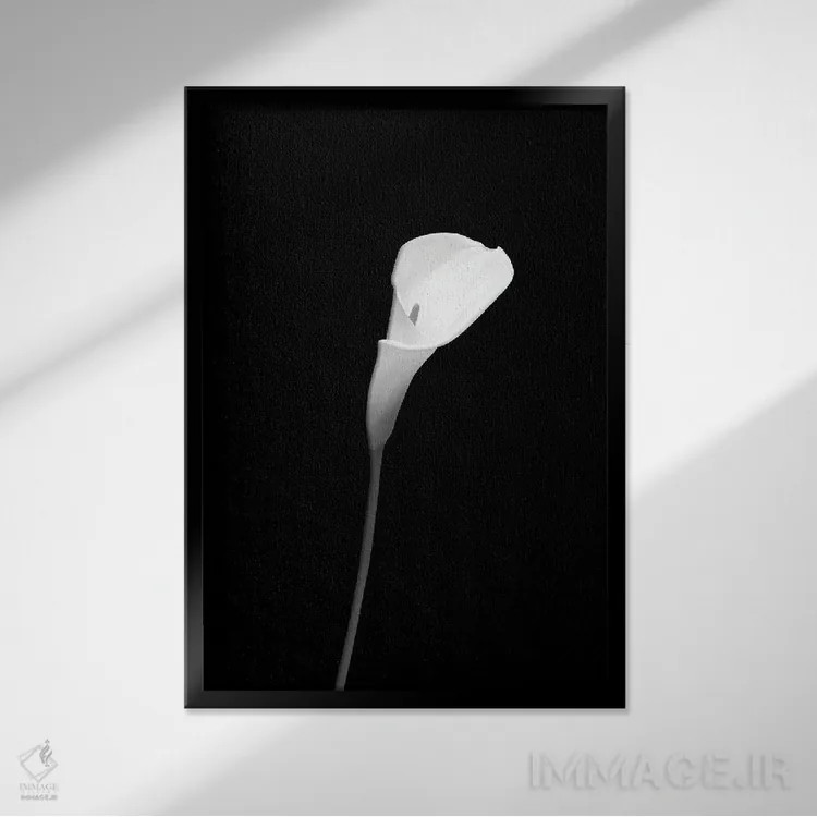 تابلو دکوراتیو کالا | طراحی تیره اثر ملانی ویولا - نمای قابدار مشکی