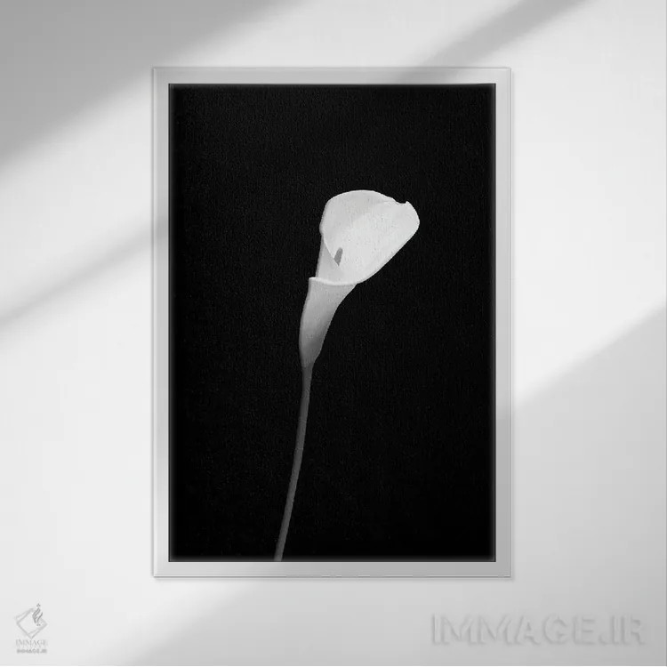 تابلو دکوراتیو کالا | طراحی تیره اثر ملانی ویولا - نمای قابدار سفید