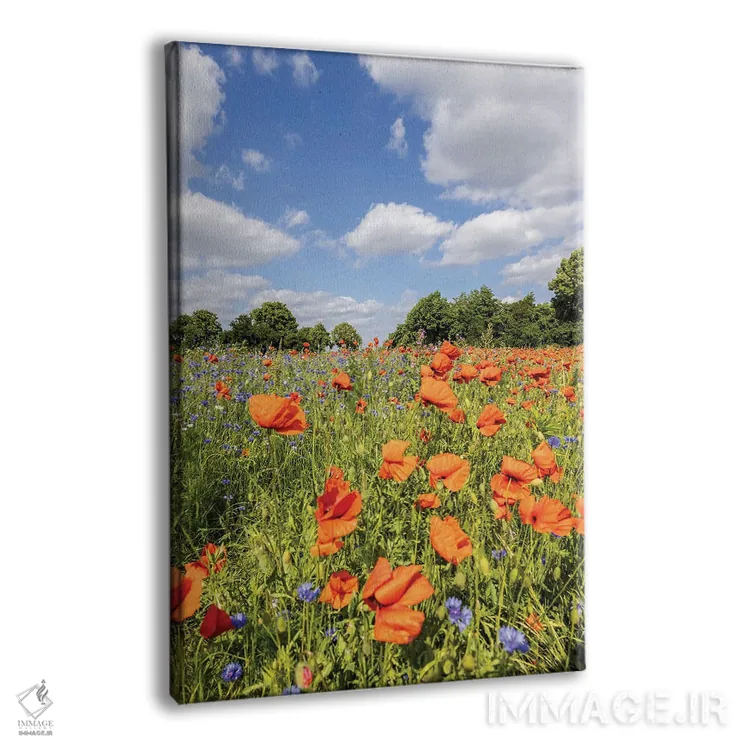 تابلو دکوراتیو مزرعه شقایق با گل گندم اثر ملانی ویولا - نمای پرسپکتیو محصول