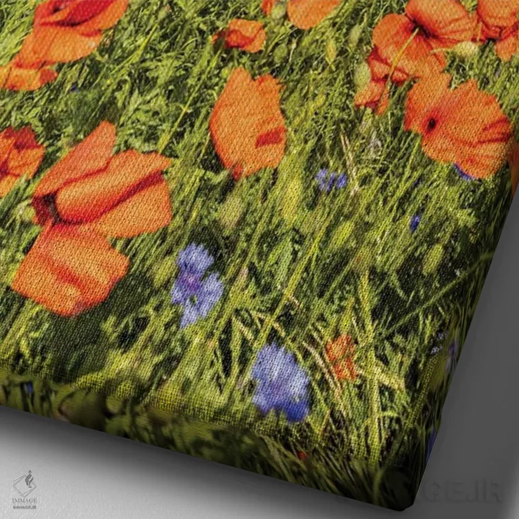 تابلو دکوراتیو مزرعه شقایق با گل گندم اثر ملانی ویولا - نمای نزدیک بافت بوم