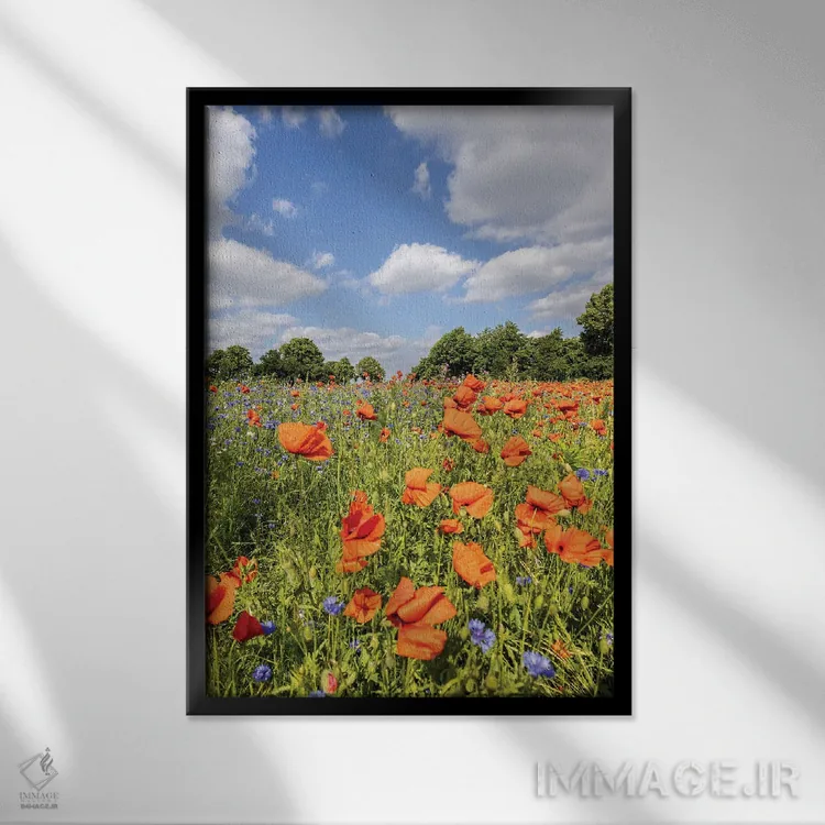 تابلو دکوراتیو مزرعه شقایق با گل گندم اثر ملانی ویولا - نمای قابدار مشکی