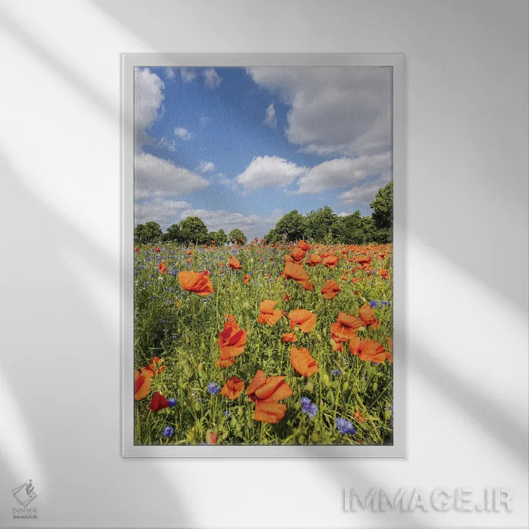تابلو دکوراتیو مزرعه شقایق با گل گندم اثر ملانی ویولا - نمای قابدار سفید