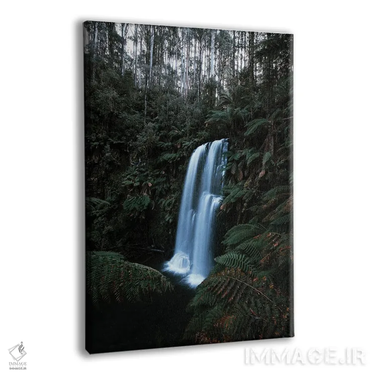 تابلو دکوراتیو جنگل های استرالیا اثر ملیسا فایندلی - نمای پرسپکتیو محصول