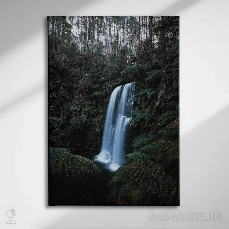 تابلو دکوراتیو جنگل های استرالیا اثر ملیسا فایندلی - نمای روبهرو روی دیوار