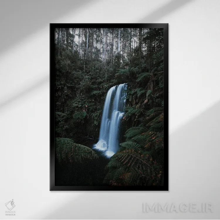 تابلو دکوراتیو جنگل های استرالیا اثر ملیسا فایندلی - نمای قابدار مشکی