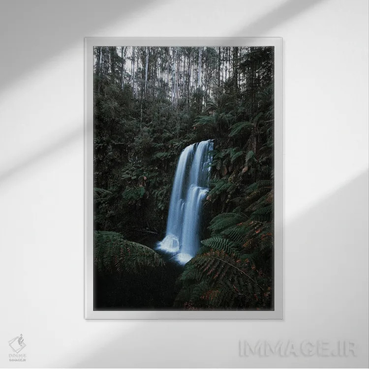 تابلو دکوراتیو جنگل های استرالیا اثر ملیسا فایندلی - نمای قابدار سفید