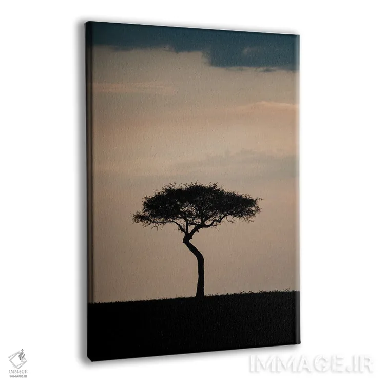 تابلو دکوراتیو درخت تنها، کنیا اثر ملیسا فایندلی - نمای پرسپکتیو محصول