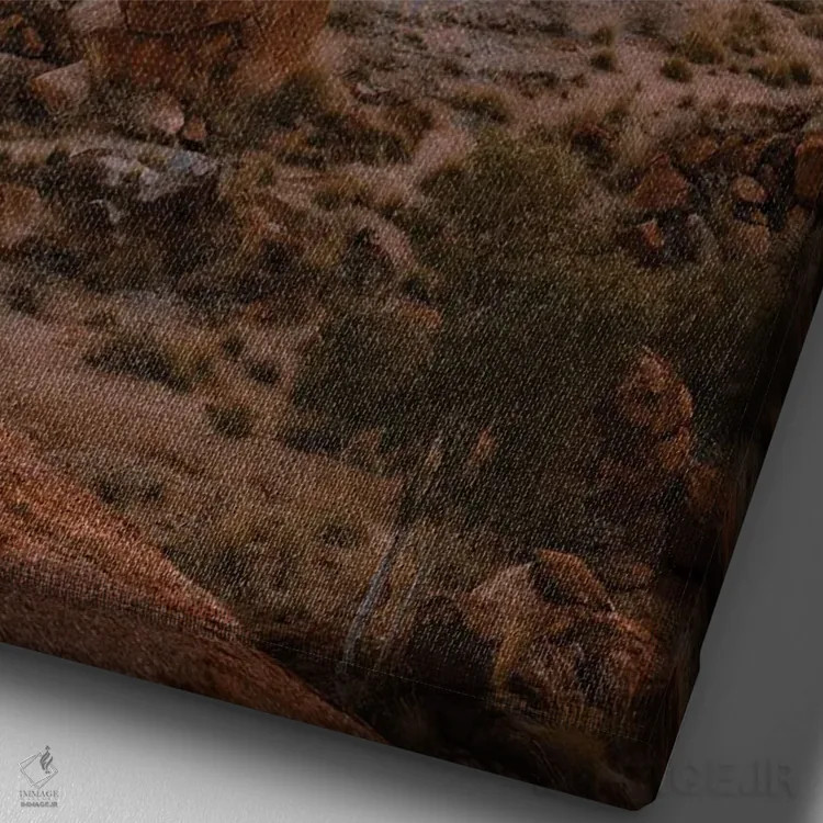 تابلو دکوراتیو قلب استرالیا اثر ملیسا فایندلی - نمای نزدیک بافت بوم