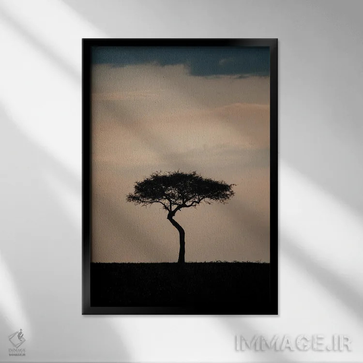 تابلو دکوراتیو درخت تنها، کنیا اثر ملیسا فایندلی - نمای قابدار مشکی