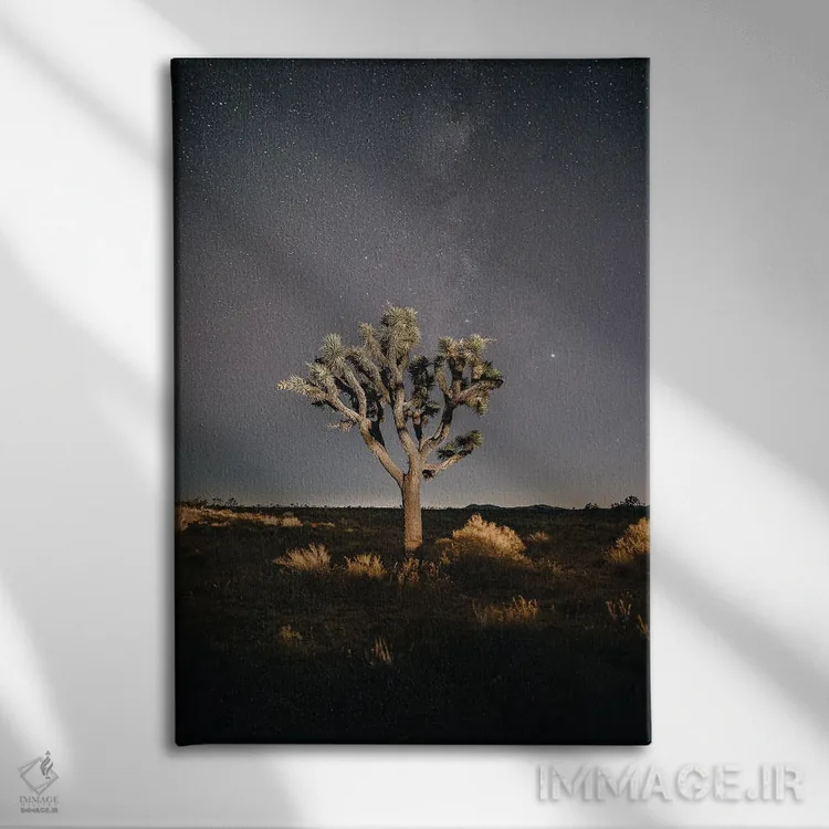 تابلو دکوراتیو درخت جاشوا اثر ملیسا فایندلی - نمای روبهرو روی دیوار