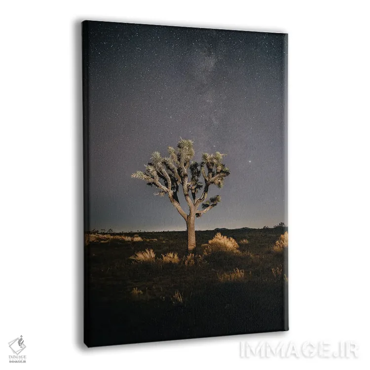 تابلو دکوراتیو درخت جاشوا اثر ملیسا فایندلی - نمای پرسپکتیو محصول