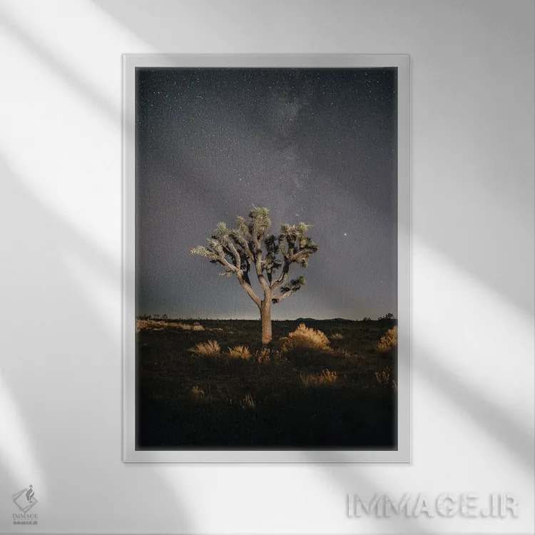 تابلو دکوراتیو درخت جاشوا اثر ملیسا فایندلی - نمای قابدار سفید