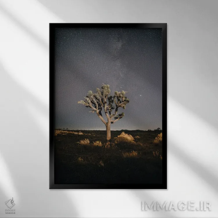 تابلو دکوراتیو درخت جاشوا اثر ملیسا فایندلی - نمای قابدار مشکی