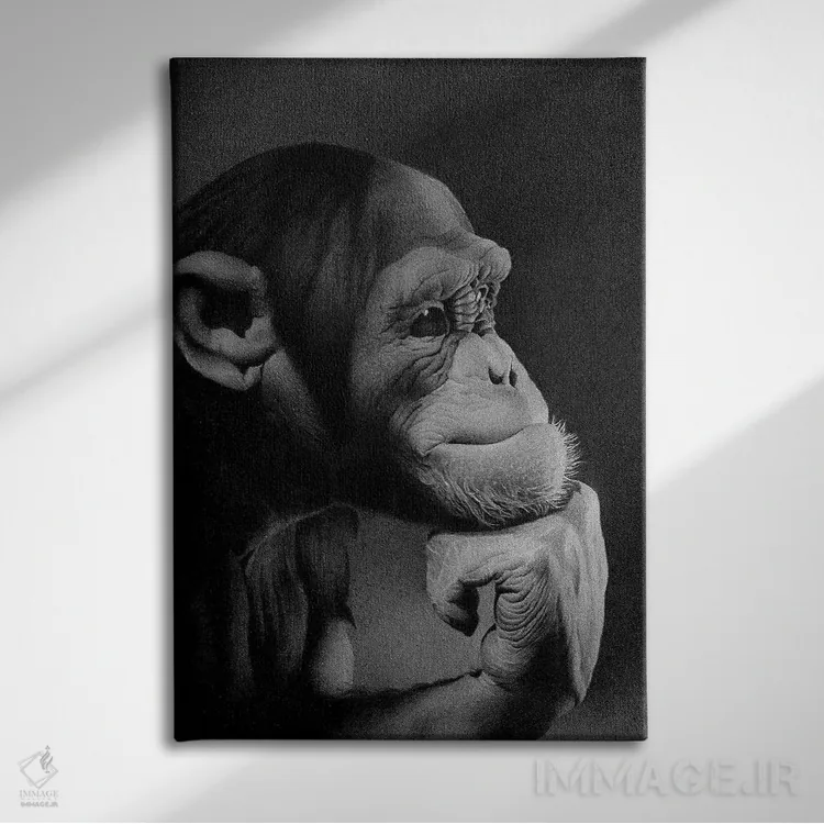 تابلو دکوراتیو متفکر اثر میرو گراباورشاک - نمای روبهرو روی دیوار