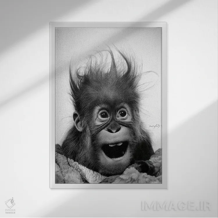 تابلو دکوراتیو وحشت نکنید اثر میرو گراباورشاک - نمای قابدار سفید