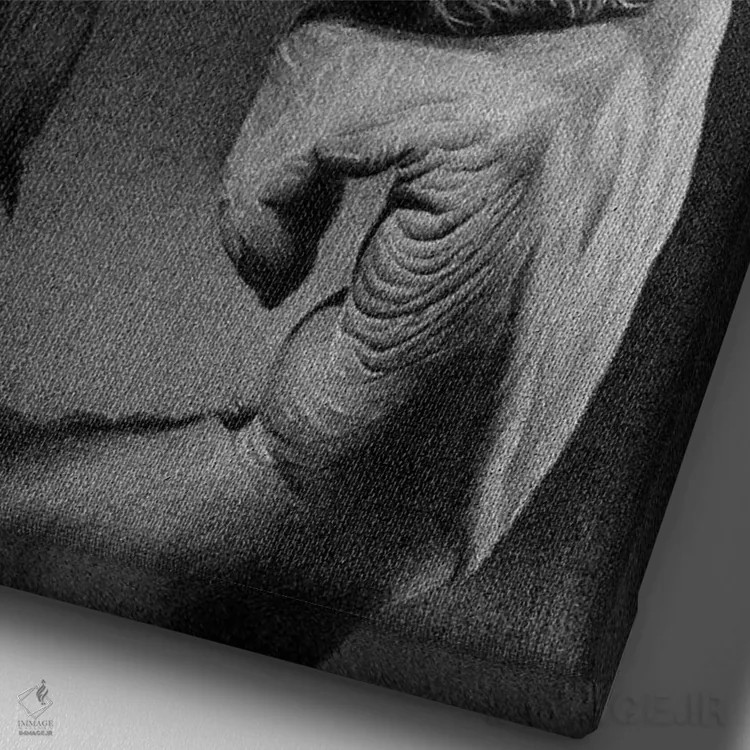 تابلو دکوراتیو متفکر اثر میرو گراباورشاک - نمای نزدیک بافت بوم