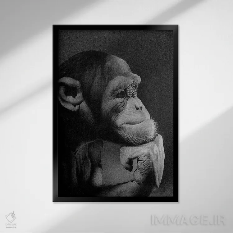 تابلو دکوراتیو متفکر اثر میرو گراباورشاک - نمای قابدار مشکی