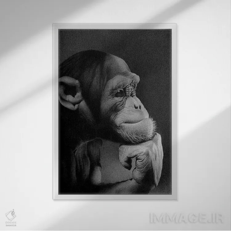 تابلو دکوراتیو متفکر اثر میرو گراباورشاک - نمای قابدار سفید