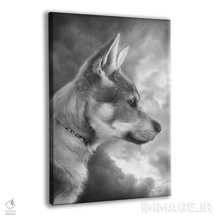 تابلو دکوراتیو بونزو اثر میرو گراباورشاک - نمای پرسپکتیو محصول