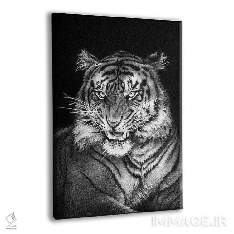 تابلو دکوراتیو ببر اثر میرو گراباورشاک - نمای پرسپکتیو محصول