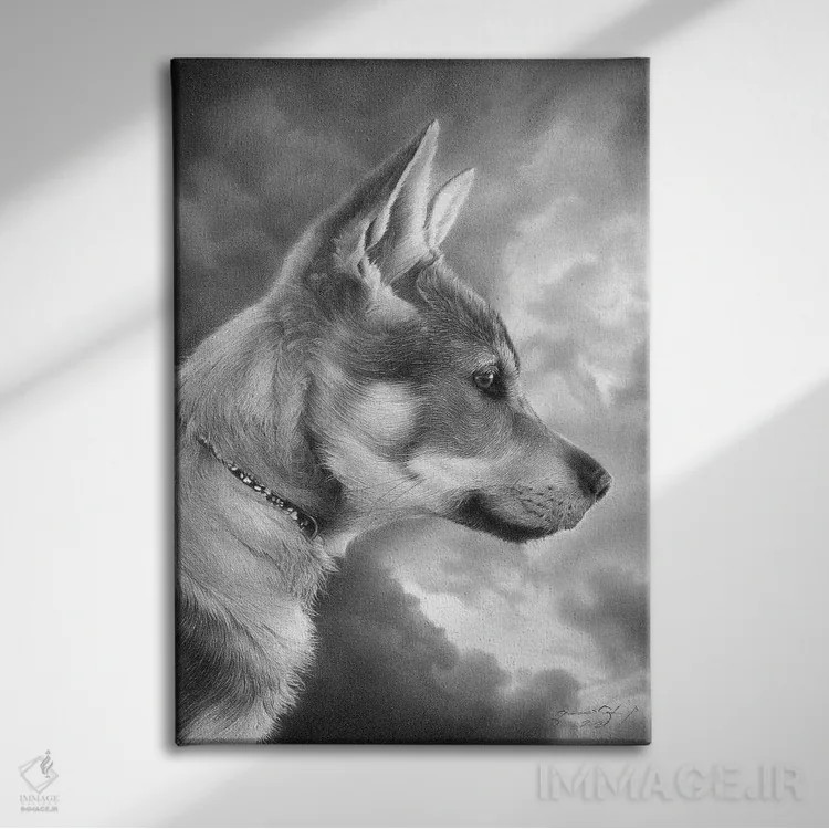 تابلو دکوراتیو بونزو اثر میرو گراباورشاک - نمای روبهرو روی دیوار