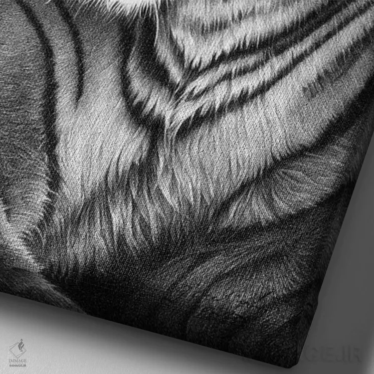 تابلو دکوراتیو ببر اثر میرو گراباورشاک - نمای نزدیک بافت بوم