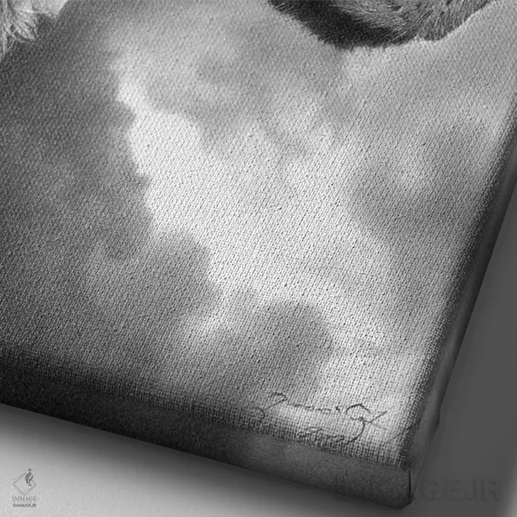 تابلو دکوراتیو بونزو اثر میرو گراباورشاک - نمای نزدیک بافت بوم