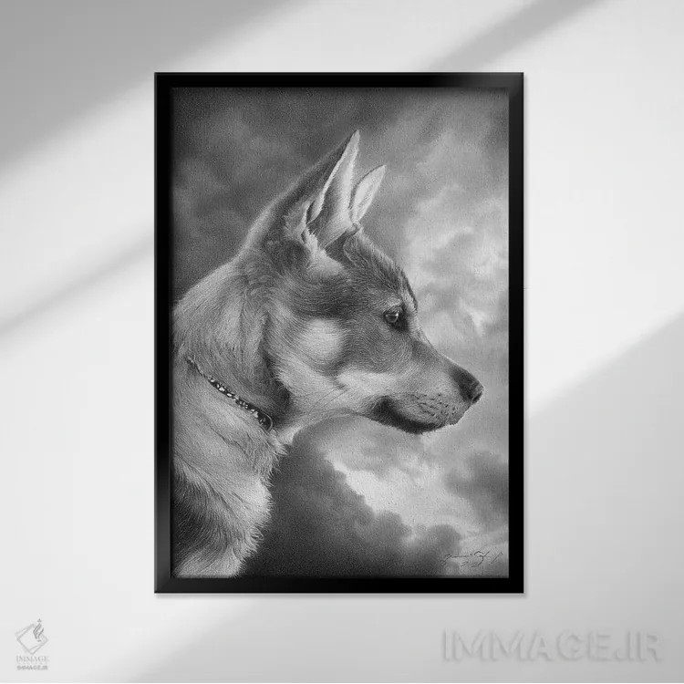 تابلو دکوراتیو بونزو اثر میرو گراباورشاک - نمای قابدار مشکی