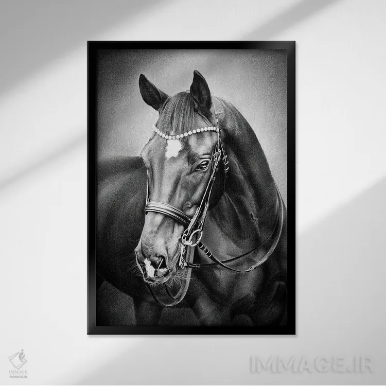 تابلو دکوراتیو پسر خوش قیافه اثر میرو گراباورشاک - نمای قابدار مشکی