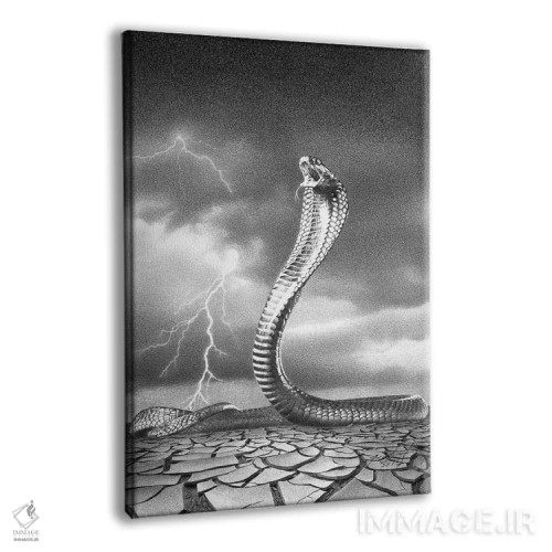 تابلو دکوراتیو طوفان در راه است اثر میرو گراباورشاک - نمای پرسپکتیو محصول