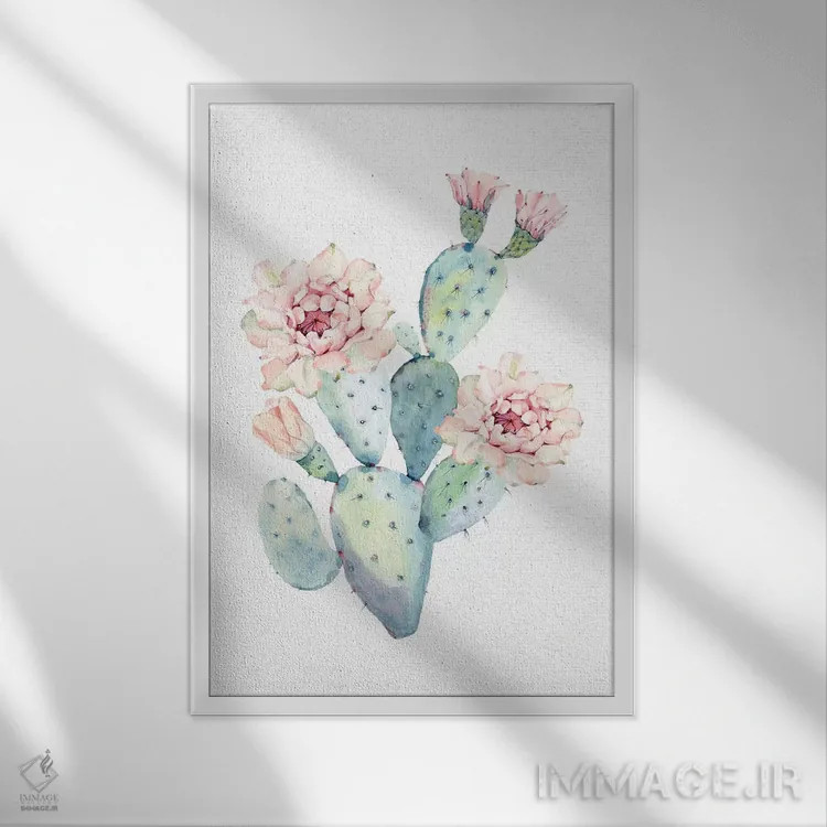 تابلو دکوراتیو زیباترین کاکتوس اثر نیچر مجیک - نمای قابدار سفید